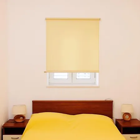 Apartment Slava Petricevic